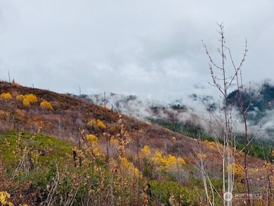 14638 US Hwy 2, Leavenworth, WA 98826 - photo 5