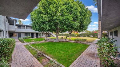 5-web-or-mls-DSC04212