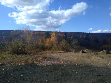 46 Madden Rd unit 53, West Brookfield, MA 01585 - photo 5