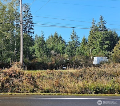5635 Highway 101, South Bend, WA 98586 - photo 4