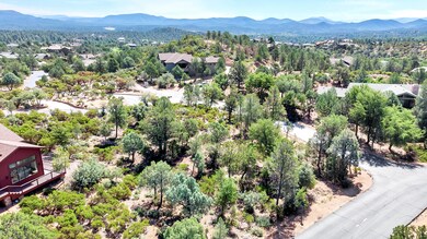 DJI_0981