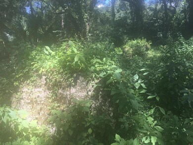 tabby ruins