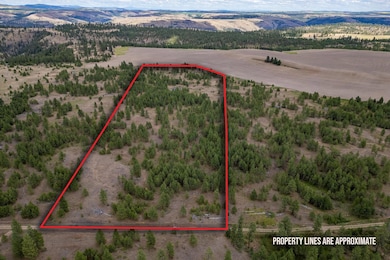 35450 Prairie Ln N unit Lot 2, Creston, WA 99117 - photo 2