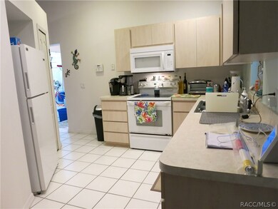 3814 N Calumet Terrace, Hernando, FL 34442 - photo 6