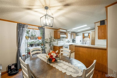 Dining area with wood finished floors, a textured ceiling, plenty of natural light, crown molding, and vaulted ceiling