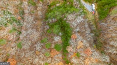 0 Slygo Rd unit 10409260, Wildwood, GA 30757 - photo 5