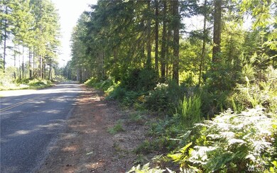 0 Thomas Rd unit 955007, Grapeview, WA 98546 - photo 2