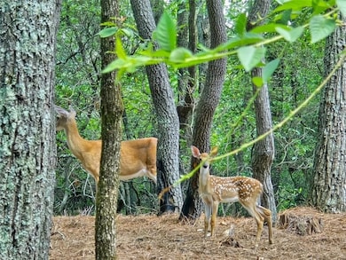 Some of the neighbors