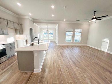 176 Natureview Way, Freeport, FL 32439 - photo 5