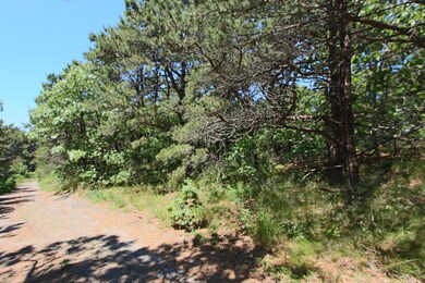 29 Noons Dr, Truro, MA 2666 - photo 4