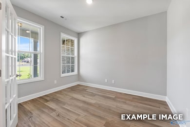 214 Hibiscus Dr, Hazel Green, AL 35750 - photo 6