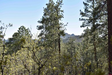 733 Red Canyon Trail, Durango, CO 81301 - photo 3