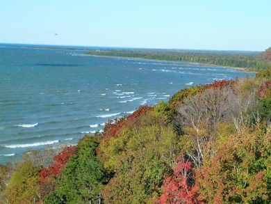 Fall Color
