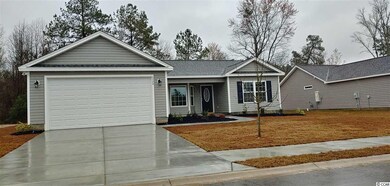 3524 Merganser Dr unit Lot 65 Palace 2 Plan, Conway, SC 29527 - photo 3