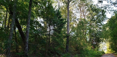 20190820_100638