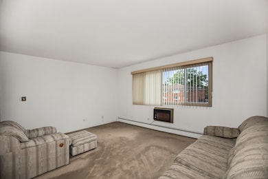 2521 N Thatcher Ave unit 3A, River Grove, IL 60171 - photo 5