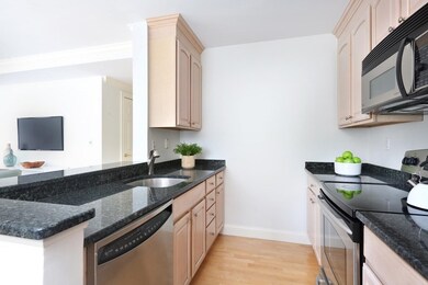 121 Centre St unit 201, Brookline, MA 02446 - photo 7
