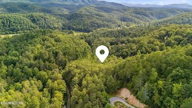 Tract 10 Dunn Way, Sevierville, TN 37876 - photo 6