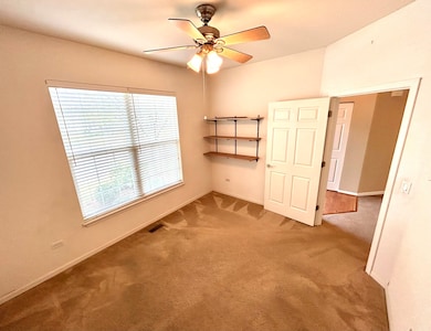 21531 Wolf Lake Way, Crest Hill, IL 60403 - photo 6