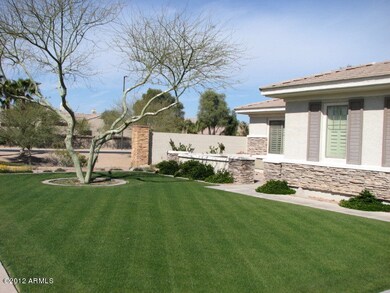 Designed Landscape