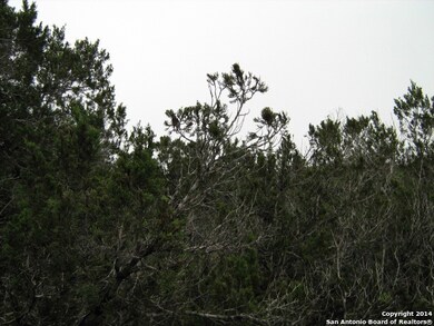 12326 Calvert, Helotes, TX 78023 - photo 6