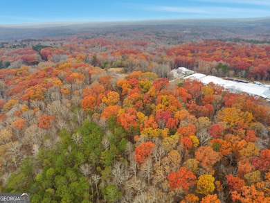 0 Hogan Pond Ln unit 10652509, Ball Ground, GA 30107 - photo 3