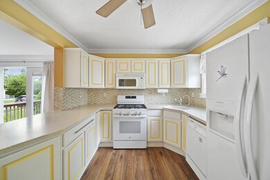 15-web-or-mls-DSC08767