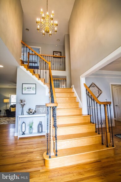 106 First Manassas Place, Stephens City, VA 22655 - photo 4