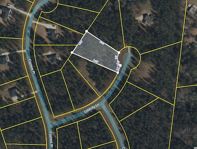 107 Loblolly Ln -Photo of the Property L