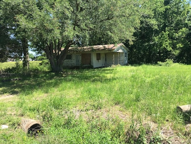 Mardi Gras Rd. Pic 14