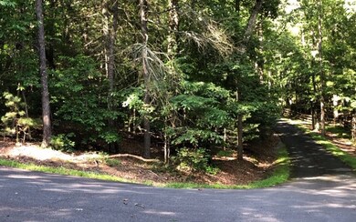 Additional View