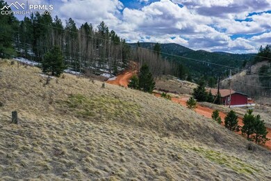 TBD Valley Rd, Divide, CO 60814 - photo 5