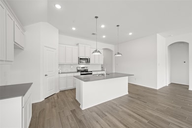 10304 Dittany Ln, Fort Worth, TX 76036 - photo 5