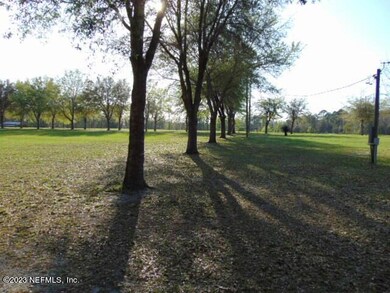 Trees lining front property boundary