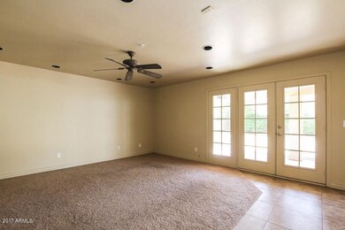 1005-4319636-small