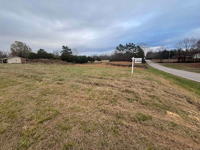 0 Holder St, Phil Campbell, AL 35581 - photo 3