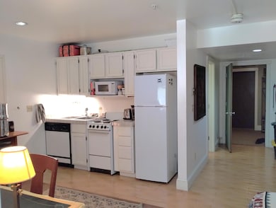 117 Lost Creek Ln unit 23B-r, Telluride, CO 81435 - photo 6