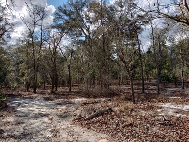 Lot 15 NE 17th Ave, Branford, FL 32008 - photo 2