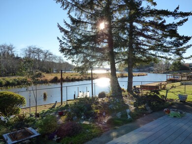 Water front view