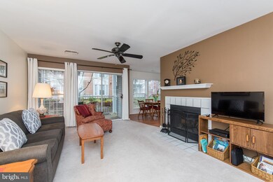 4401 Silverbrook Ln unit B204, Owings Mills, MD 21117 - photo 5