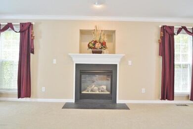 Gas Fireplace