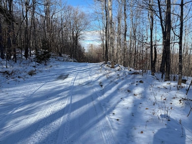 R6L9 Dickey Mills Rd, Avon, ME 04966 - photo 4