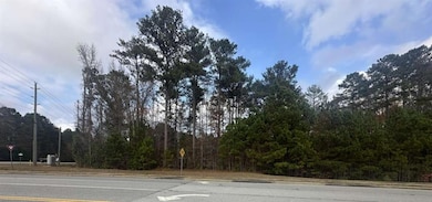 0 Hilo Rd unit 7684427, Fayetteville, GA 30215 - photo 5