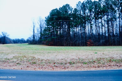 000 Old Samburg Rd, Hornbeak, TN 38232 - photo 3