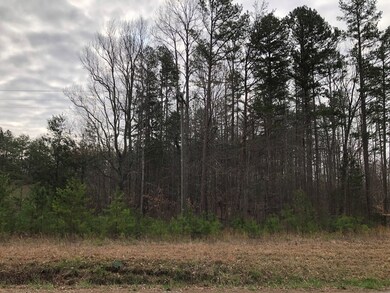 Lots 4-5 Oral Oaks Rd, South Hill, VA 23970 - photo 2