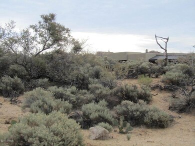 Vegetation