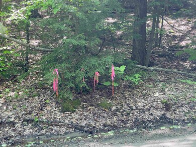 0 Fernwood Farms Rd unit 4985321, Canaan, NH 03741 - photo 5