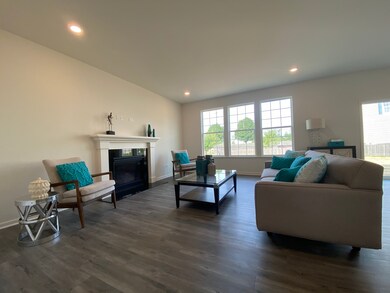 1305 Barberry Way, Joliet, IL 60431 - photo 2