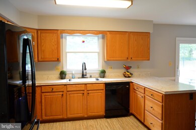 7417 Brangles Rd, Marriottsville, MD 21104 - photo 5