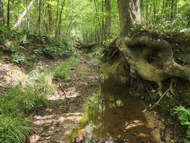 Lot 7-1 Red House Rd, Appomattox, VA 24522 - photo 6